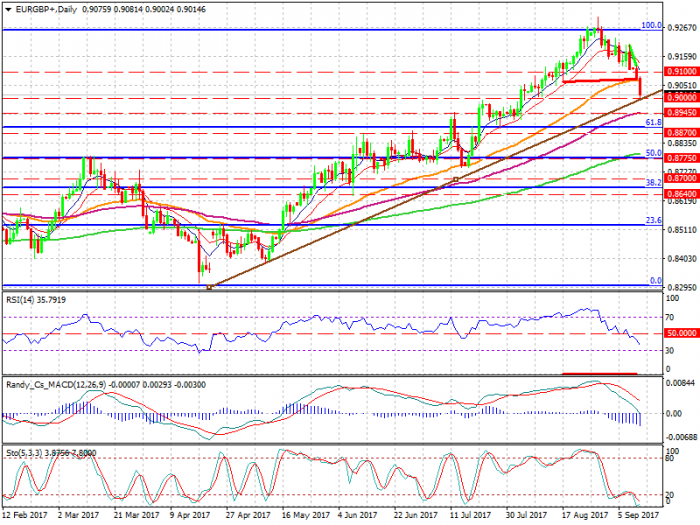 eurgbp-d1-xtb-limited